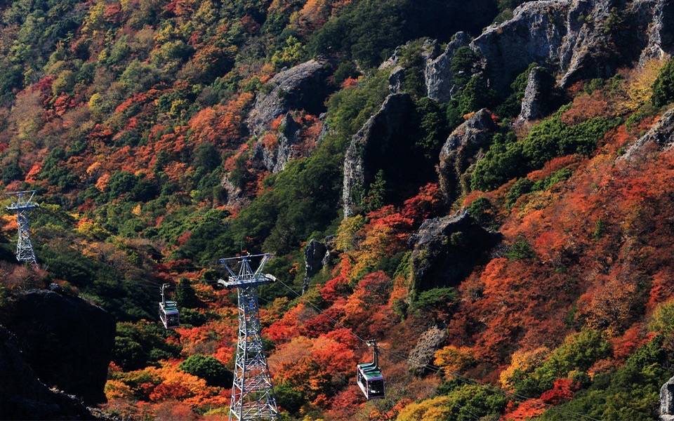 ＜コース番号：T2883＞【大阪駅発着】紅葉の日本三大渓谷『寒霞渓』ロープウェイと癒しの瀬戸内海クルージング　小豆島の旅