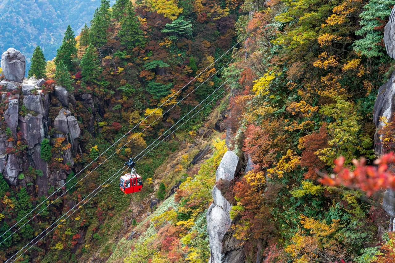 ＜コース番号：T2733＞【大阪発着】美しき三段紅葉！絶景紅葉の御在所岳ロープウェイ！と「源泉掛け流し」の湯の山温泉でご昼食会席