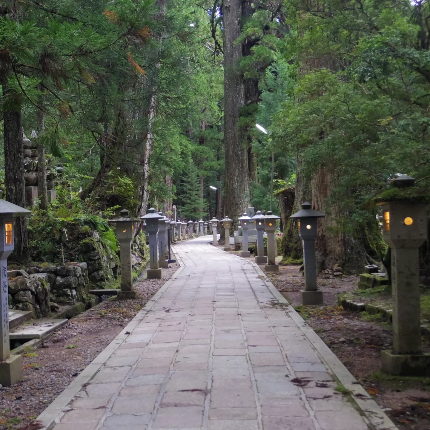 寺社・文化・芸術