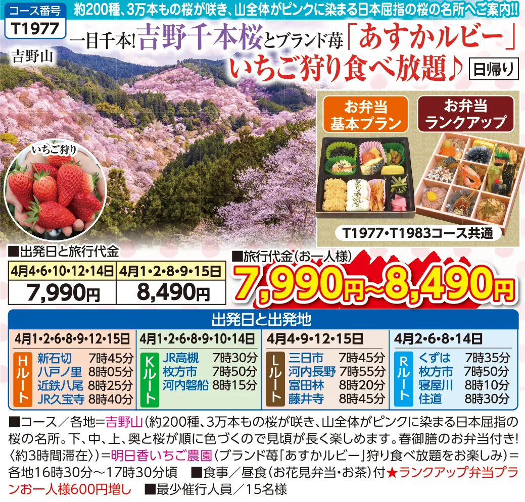 今週の新コース