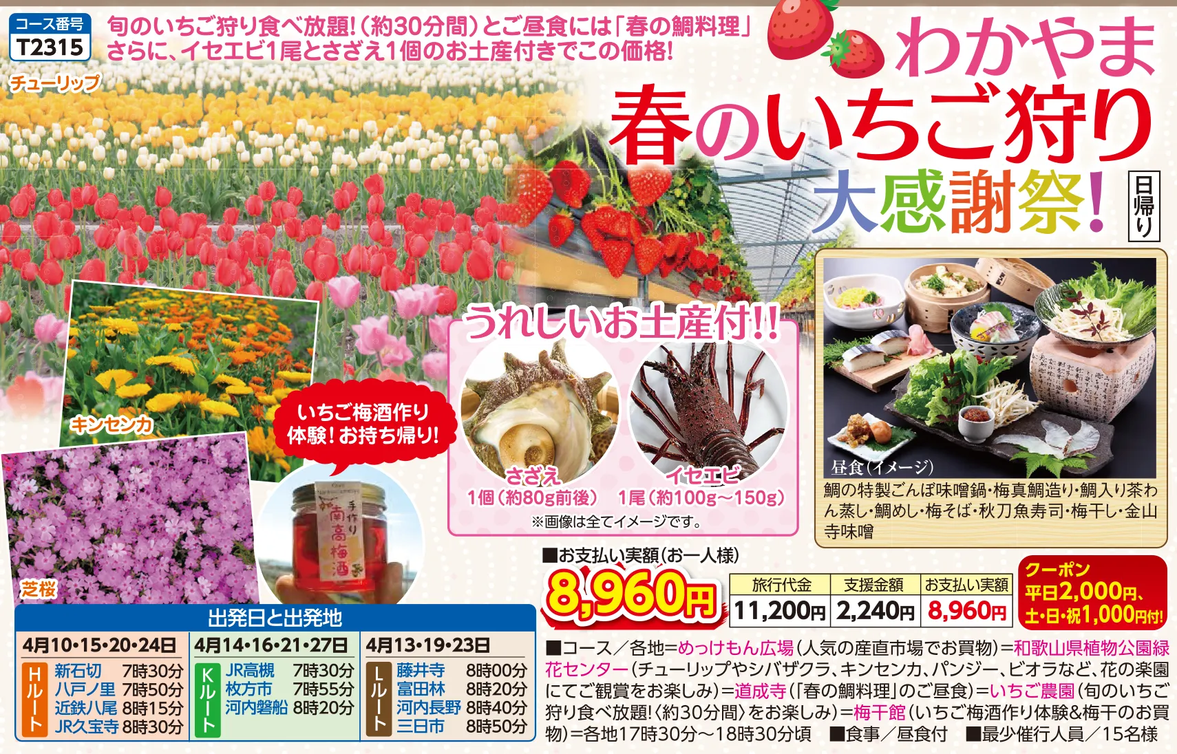ひと足早くお知らせ！和歌山県「全国旅行支援」期間延長！