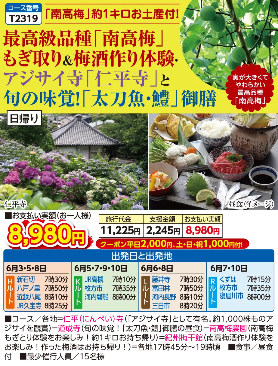 今週の新コース