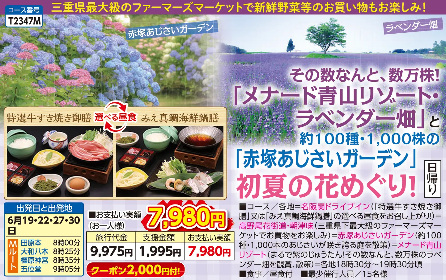 今週の新コース