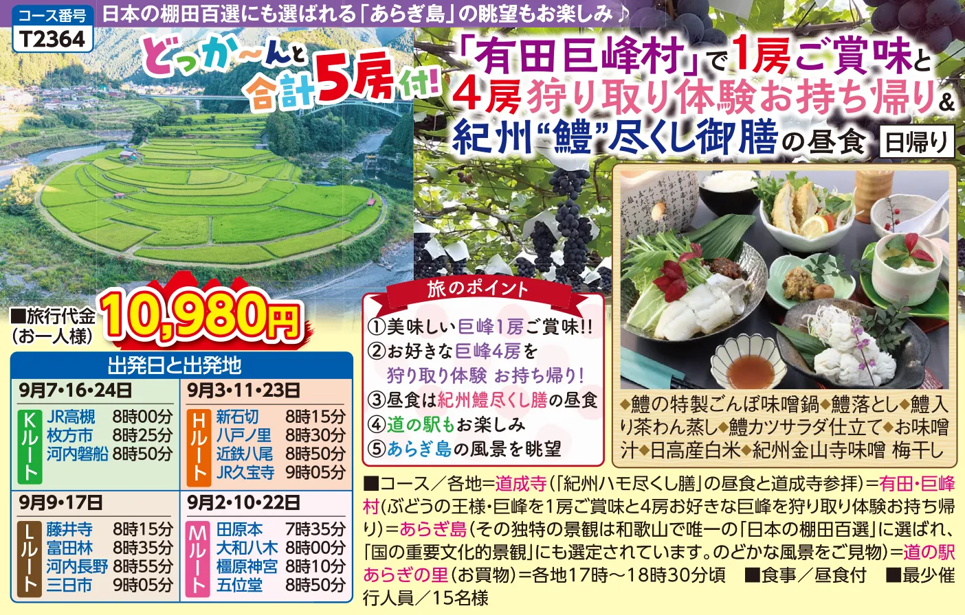 今週の新コース