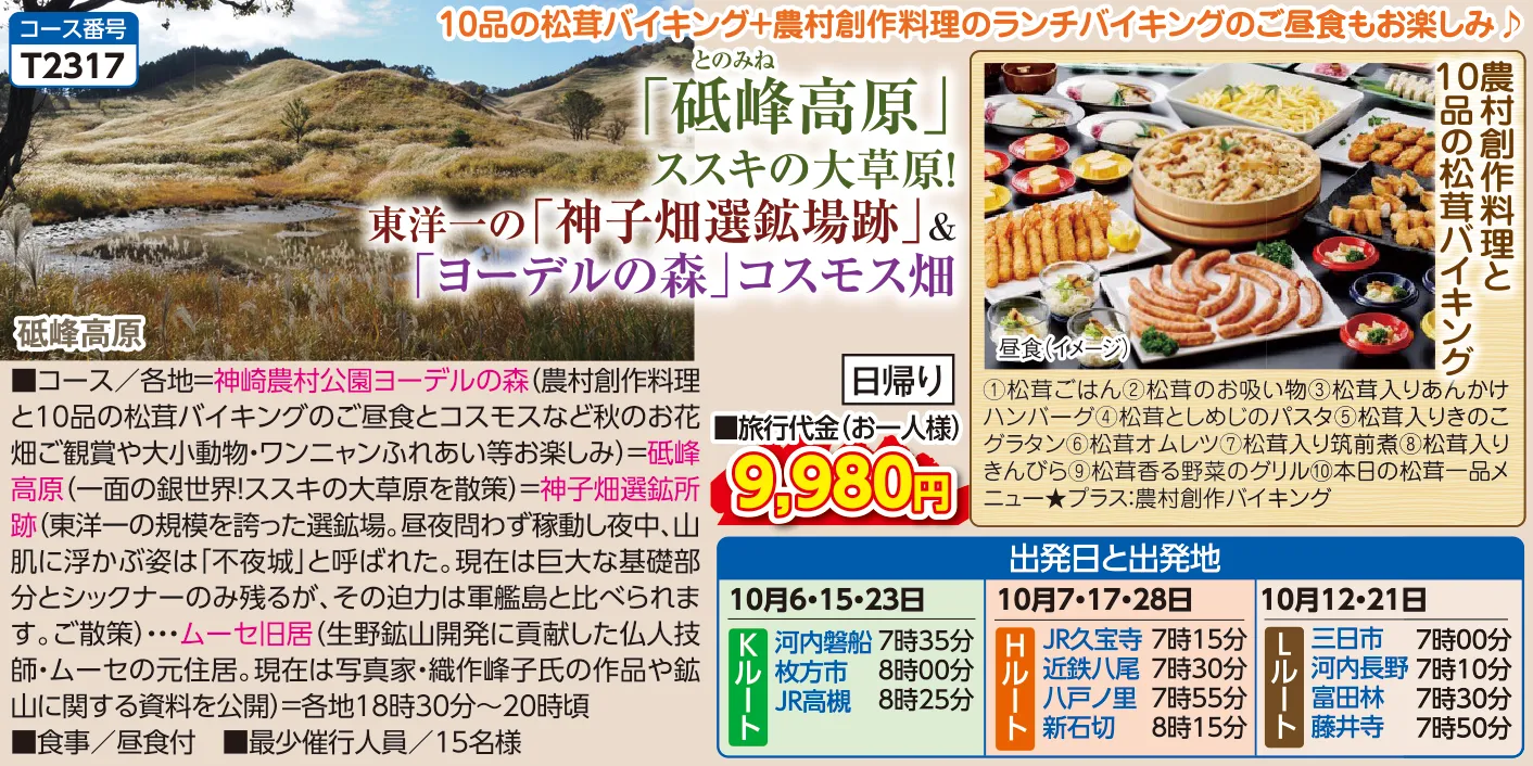 今週の新コース