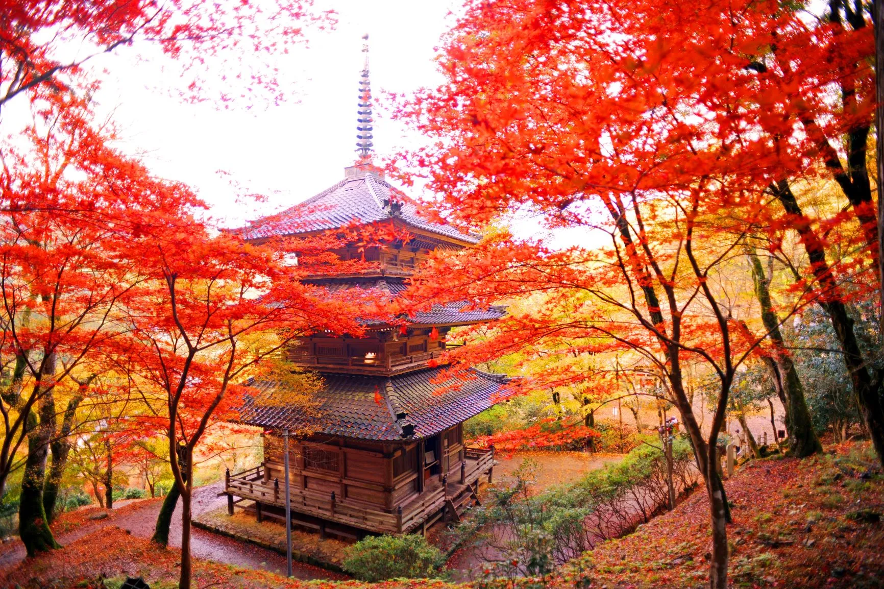 ＜コース番号：T3803＞【大阪・奈良発着】丹波紅葉三山めぐりの旅