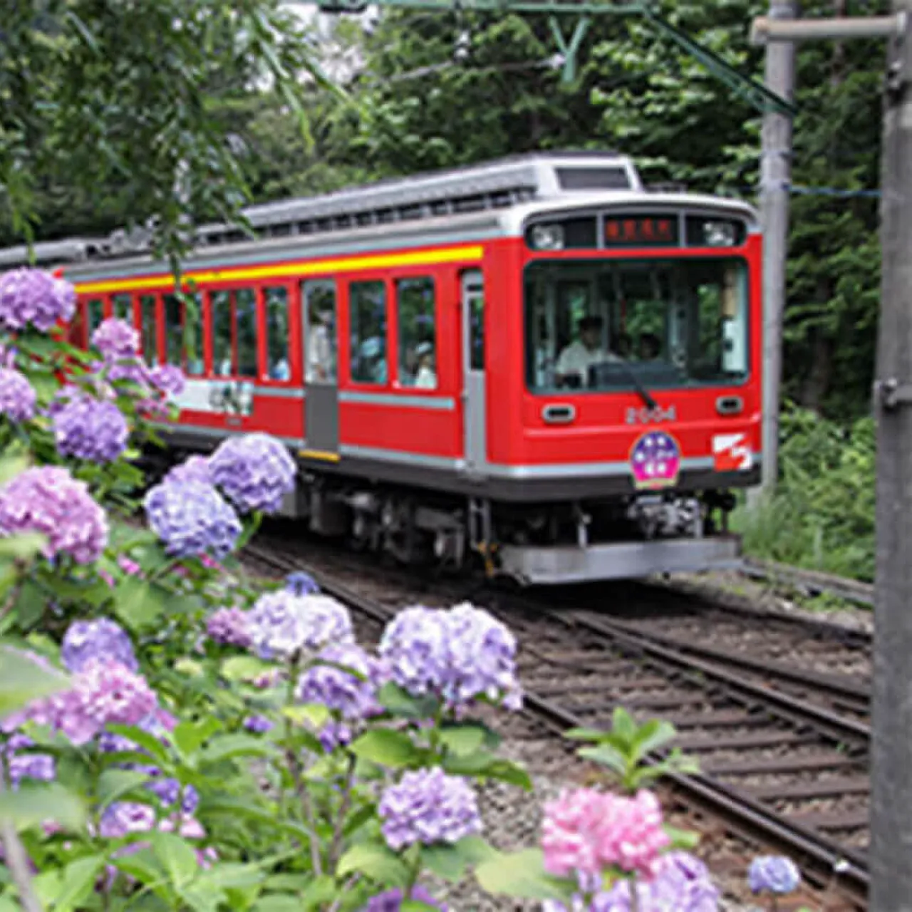 ＜コース番号：T3083＞【大阪・奈良発着】箱根登山鉄道あじさい電車と富士箱根ぐるっと周遊2日間